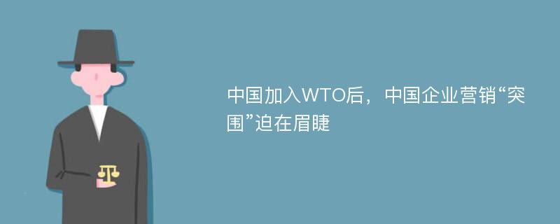 中国加入WTO后，中国企业营销“突围”迫在眉睫