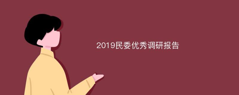 2019民委优秀调研报告