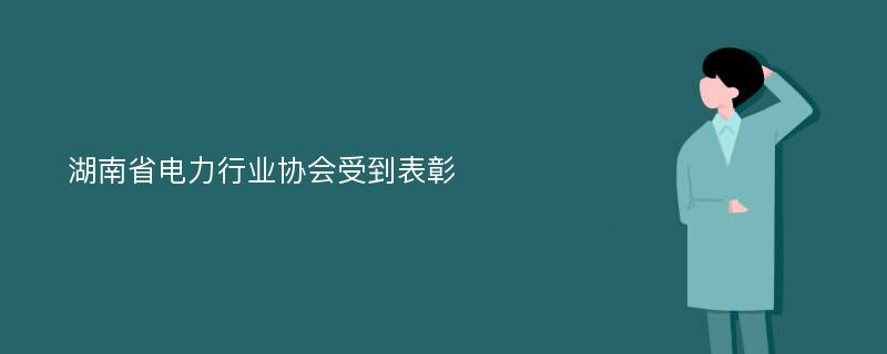 湖南省电力行业协会受到表彰