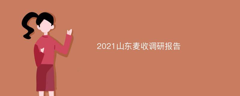 2021山东麦收调研报告